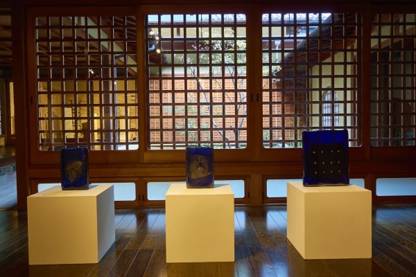 Kondaya Tsukiwokoso 5172 Sh D Flt