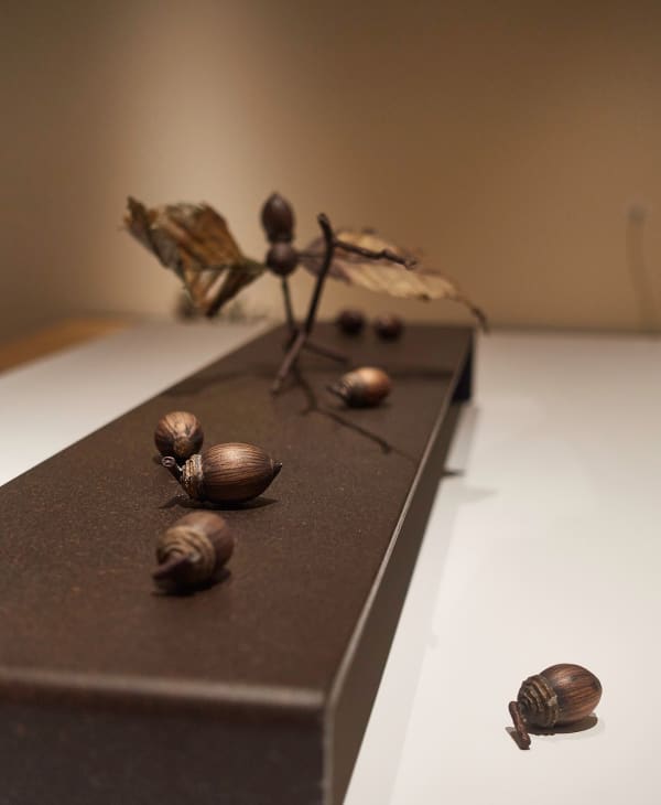 Shotasuzuki 0021 Sh D Flt Crp