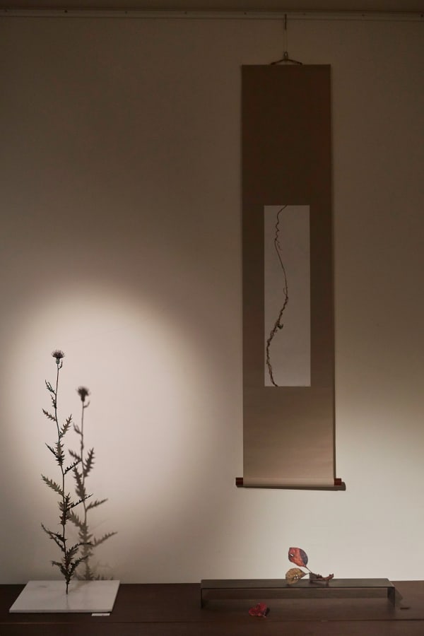 Shotasuzuki 0024 Sh D Flt