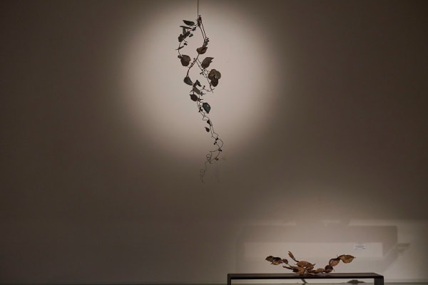 Shotasuzuki 0046 Sh D Flt