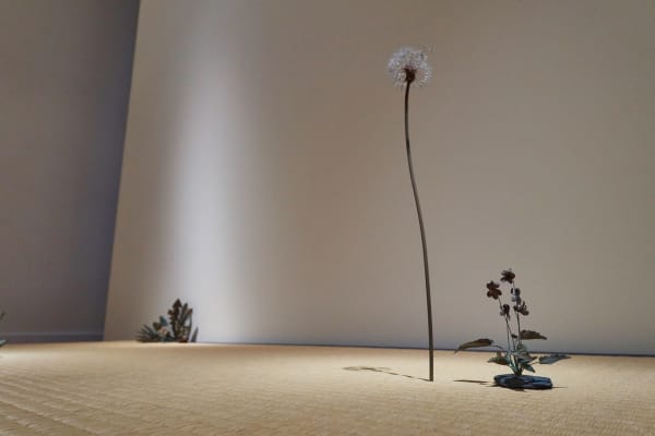 Shotasuzuki 0090 Srgb