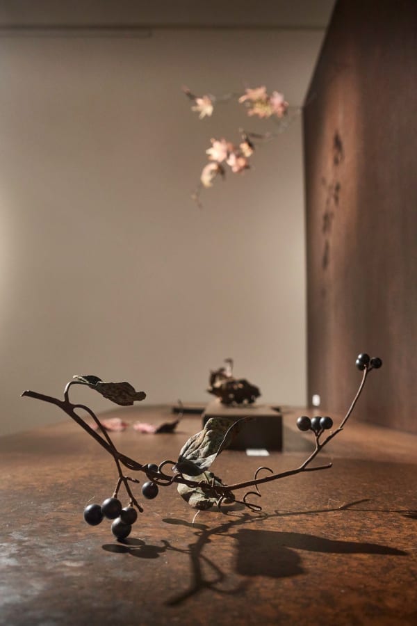 Shotasuzuki 0134 Srgb