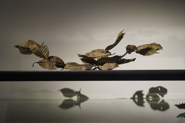 Shotasuzuki 0145 Srgb