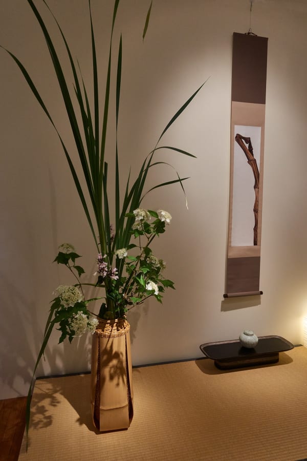 Hafu 5043 Sh D Flt Rt Srgb