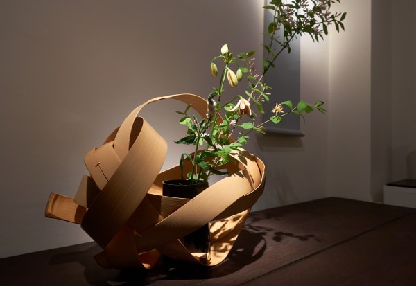 Hafu Ippodo 4266 Sh D Flt