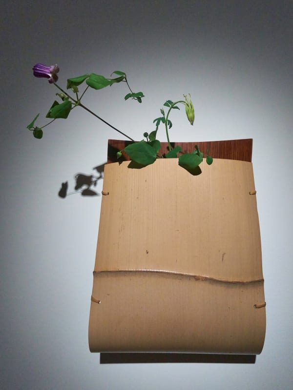 Hafu Ippodo 4343 Sh D Flt