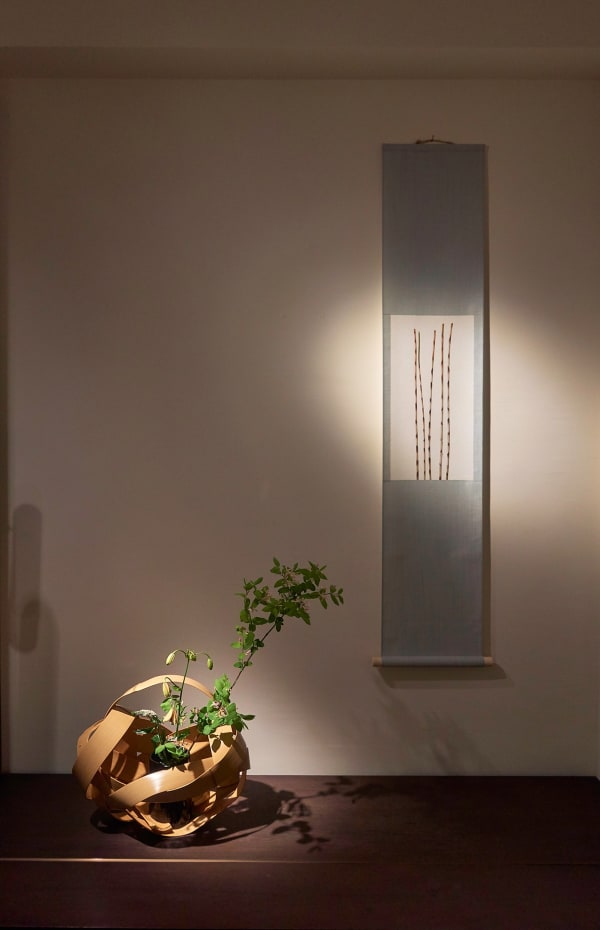 Hafu Matsumoto 4252 Sh D Flt