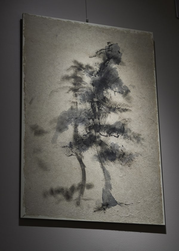 44 A21449 Tadatakakishino 4414 Sh D Flt