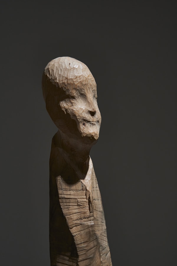 45 B21460 Shokishino 4432 Sh D Flt