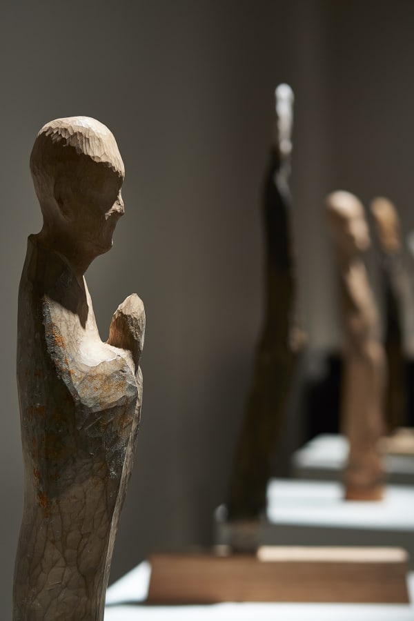 46 B21461 Shokishino 4370 Sh D Flt