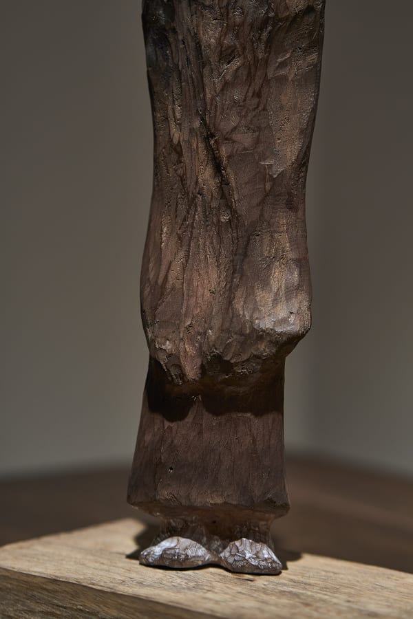 49 B21464 Shokishino 4431 Sh D Flt