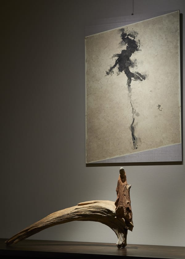 9 B21419 Shokishino 4413 Sh D Flt