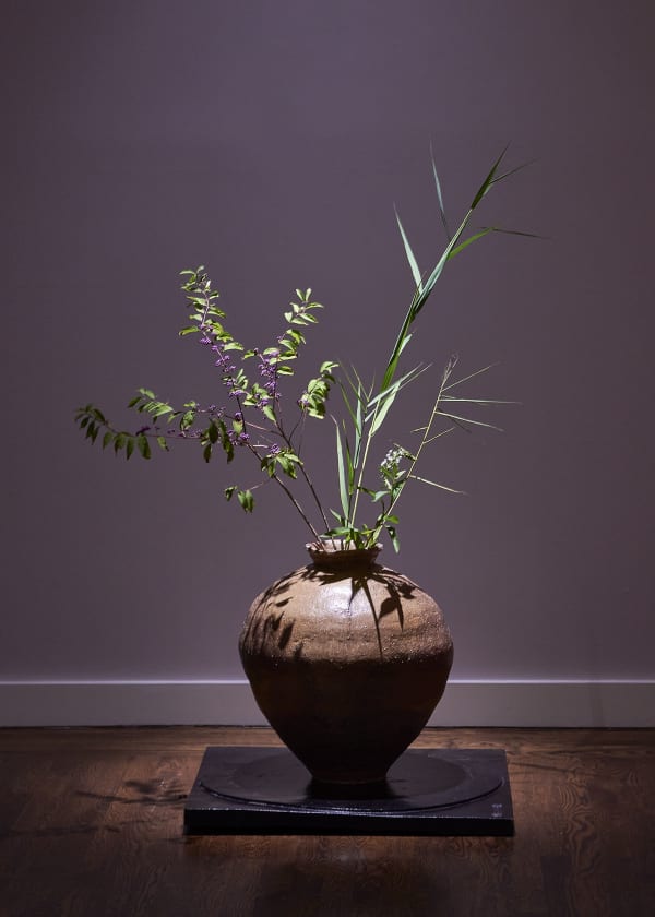 Kankishino 51 C20524Ap 4505 Sh D Flt