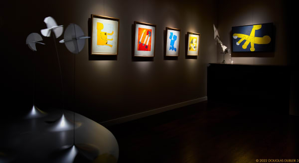 Susumu Shingu 9271 Sh D90 Srgb