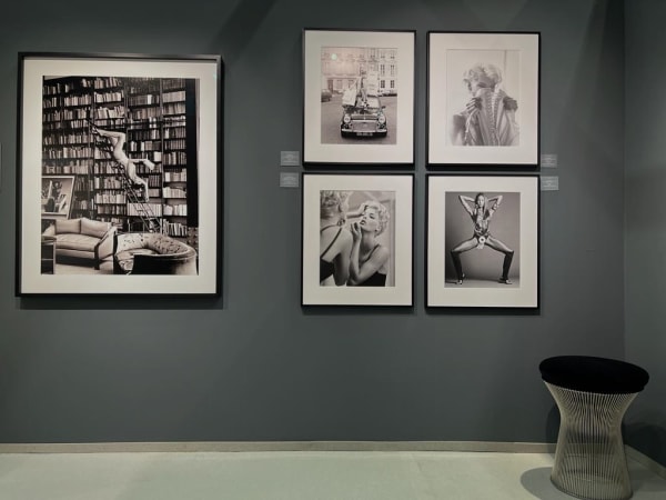 8D04Fffc D25F 4Db9 A877 6655Ddfd7Fd4