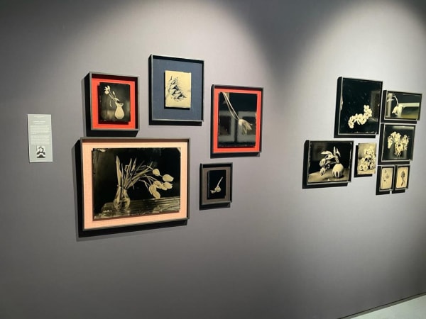 Fb79Bb7E B335 4A61 859E 3271A1F8D8De