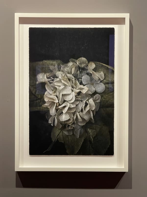 Fullsizerender 15 Kopie