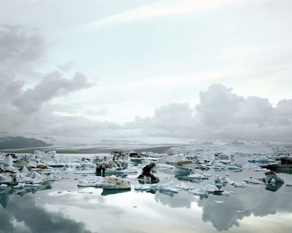 Olaf Otto Becker - PRIMARY FOREST 13, MALAYSIA, 2013