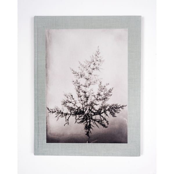 Steffen Diemer | Wakame