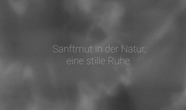 Steffen Diemer | Sanftmut in der Natur, eine stille Ruhe