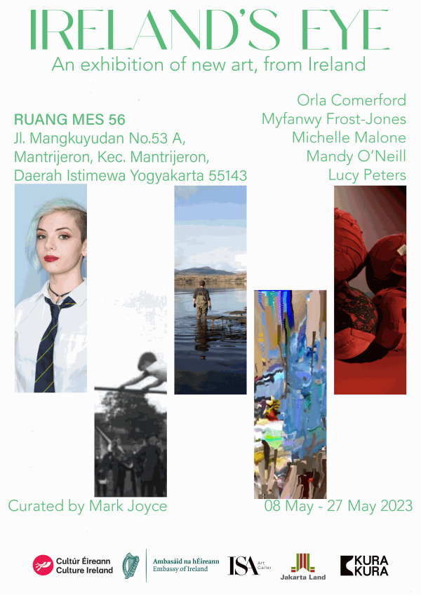 Ireland's Eye An Exhibition of new art, from Ireland