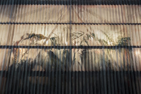 Installation view of the exhibition Enfermedades Preciosas by Cecilia Avendaño at Sala de Arte CCU. Santiago, October 2019. Credit: Sebastián González, courtesy of Isabel Croxatto Galería.