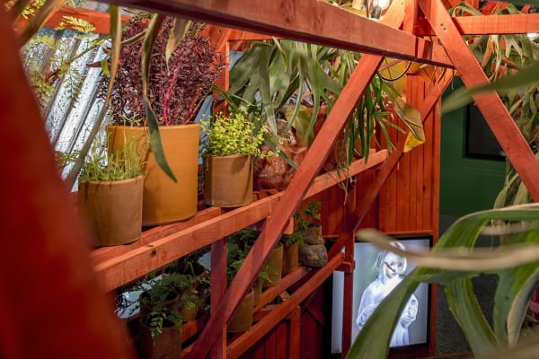 Installation view of the exhibition Enfermedades Preciosas by Cecilia Avendaño at Sala de Arte CCU. Santiago, October 2019. Credit: Sebastián González, courtesy of Isabel Croxatto Galería.