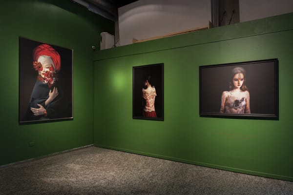 Installation view of the exhibition Enfermedades Preciosas by Cecilia Avendaño at Sala de Arte CCU. Santiago, October 2019. Credit: Jorge Brantmayer, courtesy of Isabel Croxatto Galería.