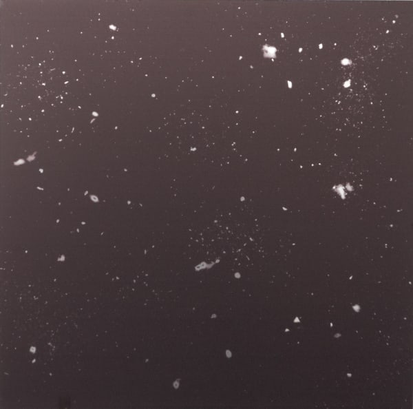 El Horizonte de los Pesimistas | Pedro Albertini LOCAL 2