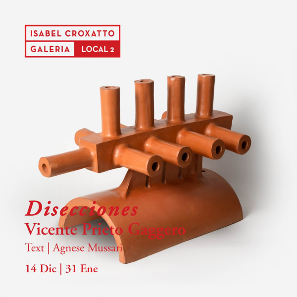 Disecciones | Vicente Prieto Gaggero