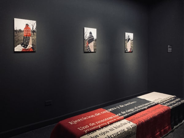 Un Nuevo Mundo, installation view. Photo: Nicolás de Sarmiento.