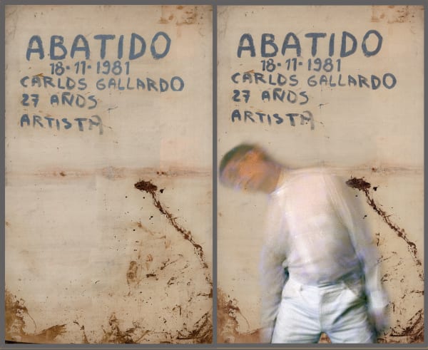 Carlos Gallardo, Abatido, A la Carne de Chile, 1981.
