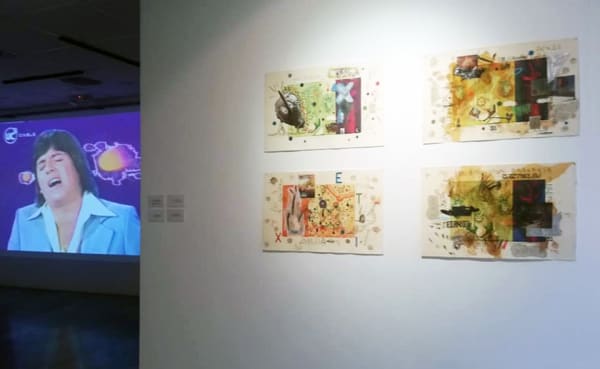 Artworks by Coco González Lohse. Installation view of Los Dominios Recuperados (Revuelta Vitalista) at the Nahím Isaías Museum in Guayaquil, Ecuador. November, 2020.