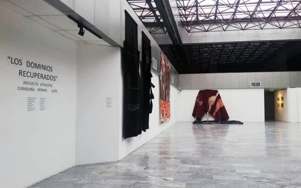 Installation view of Los Dominios Recuperados (Revuelta Vitalista) at the Nahím Isaías Museum in Guayaquil, Ecuador. November, 2020.