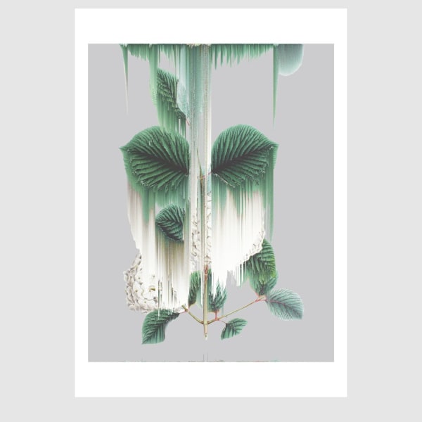 Andrea Wolf, from the series Botanicals.