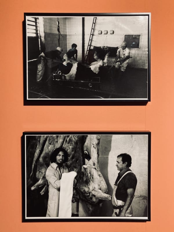 Artworks by Carlos Gallardo at Artistas del Desplazamiento, group exhibition curated by Jorge Padilla. Galería Artespacio. Santiago, Chile. June 2022....
