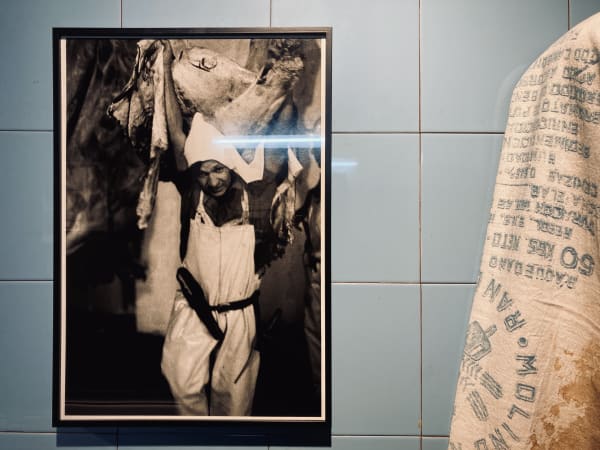Artworks by Carlos Gallardo at Artistas del Desplazamiento, group exhibition curated by Jorge Padilla. Galería Artespacio. Santiago, Chile. June 2022....