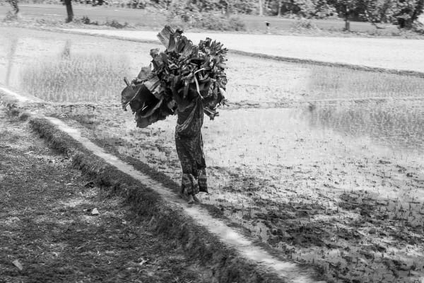Angélica Arbulú La carga de una mujer - Bangladesh, 2018 Photography Ed: 1 / 3 Series: Guerreras silenciosas