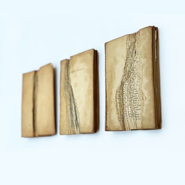 Ana Sanchez Esto y aquello, 2021 Libros modelados y fosilizados 18 x 47 cm