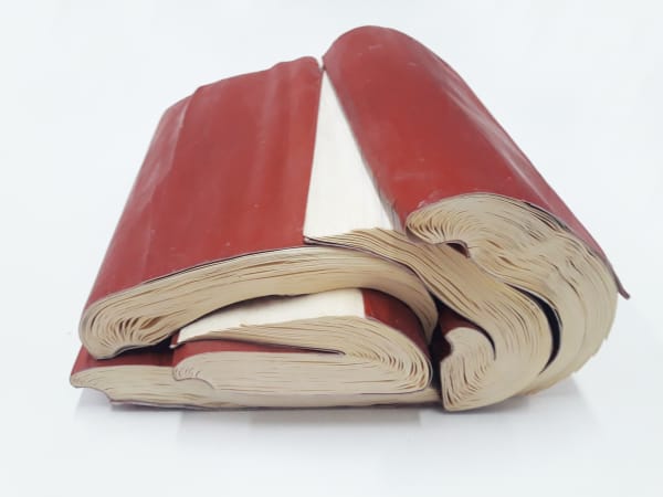 Ana Sanchez Durmientes, 2021 Modelled and fossilised books 14 x 28 x 27 cm