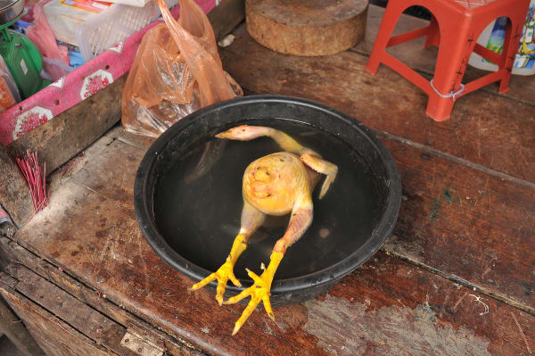 Chicken