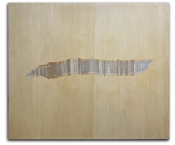 Ana Sanchez Poema, 2021 Books and paper recovered and intervened 162 x 195 cm