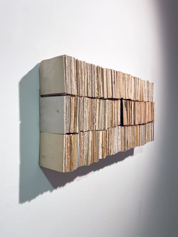 Ana Sanchez Of paper tree, 2021 Recycled and intervened books and wood 25 x 50 cm