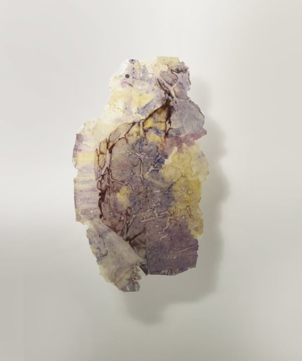 Paula Blanco La respiración de las semillas, 2025 Mixed media and fiber-glass 88 x 52 cm