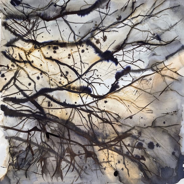 Aixa Portero Tejido Celular, 2023 Ink and mixed media. Oak frame and museum glass 30 x 30 cm Framed 38 x 38 cm