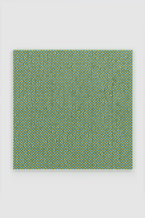 Finch Optical Study Yellow Blue Green 2022 Jcg13928 Credit P Dheurle V06