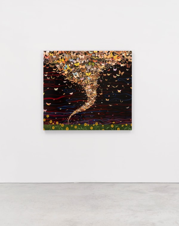 FRED TOMASELLI, After March 21, 2020, Butterfly Population Declines, 2022