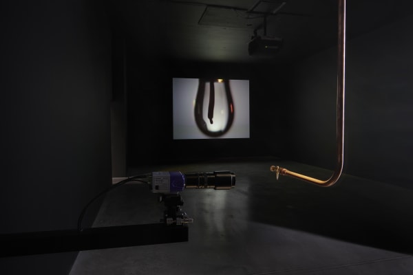 Installation View, Bill Viola, James Cohan, 48 Walker Street, New York, February 25 - March 25, 2023. Photo by Phoebe d'Heurle.