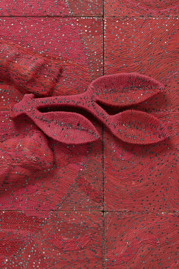 Wavy Crop Sime Tightrope It Is Green 8 2023 Jcg15252 Credit P Dheurle V01