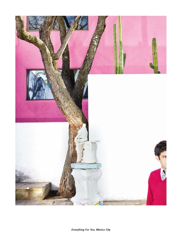 Jan De Cock Exhibition Everything For You, Mexico